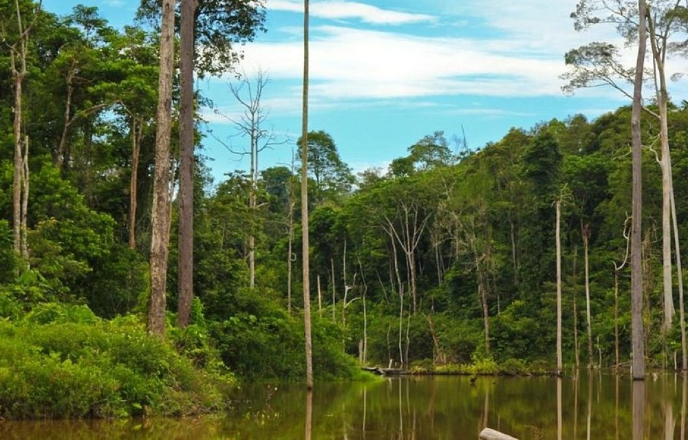 Kebun Raya Balikpapan